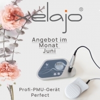 Permanent Make up Gerät Perfect im Angebot